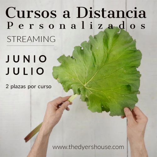 Cursos de Tintes Naturales enstreaming en The Dyer's House