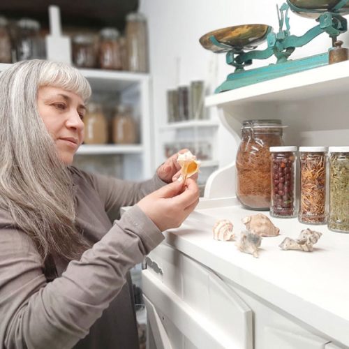 Cursos de Tintes Naturales enstreaming en The Dyer's House
